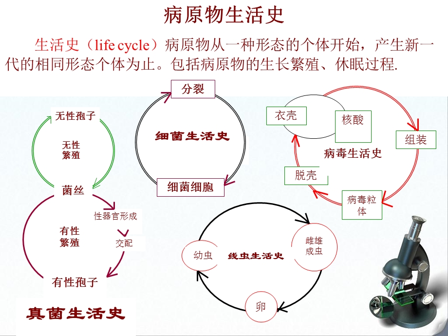 植物病害发生发展.ppt_第2页