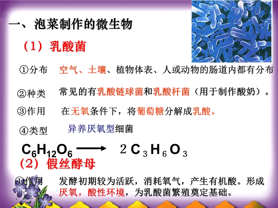 制作泡菜及亚硝酸盐含量测定.ppt_第3页