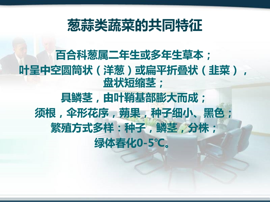 葱蒜类蔬菜生产技术.ppt_第3页