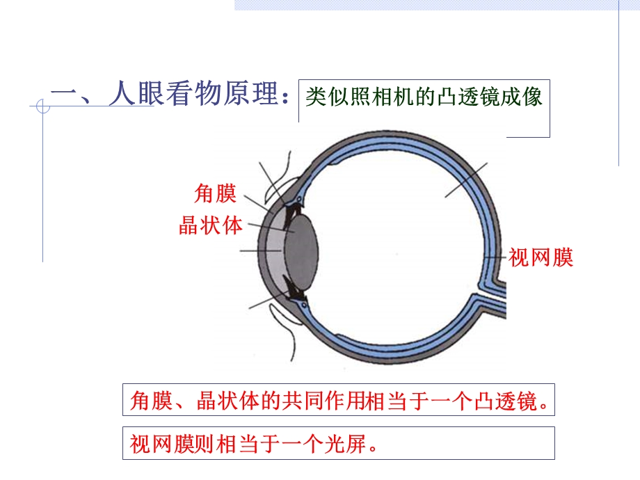 四节眼睛和眼镜.ppt_第2页