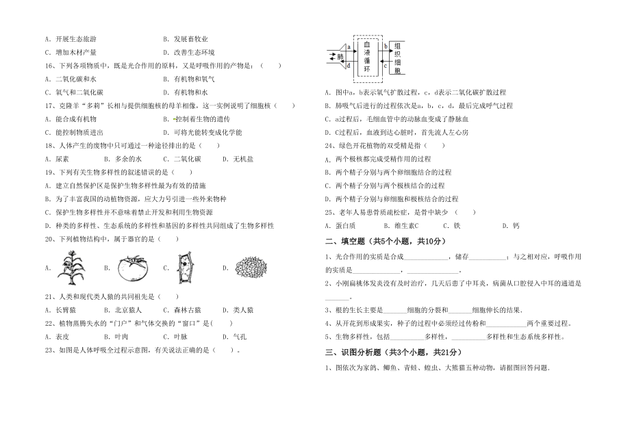 七年级生物下册期末考试(完整版).doc_第2页