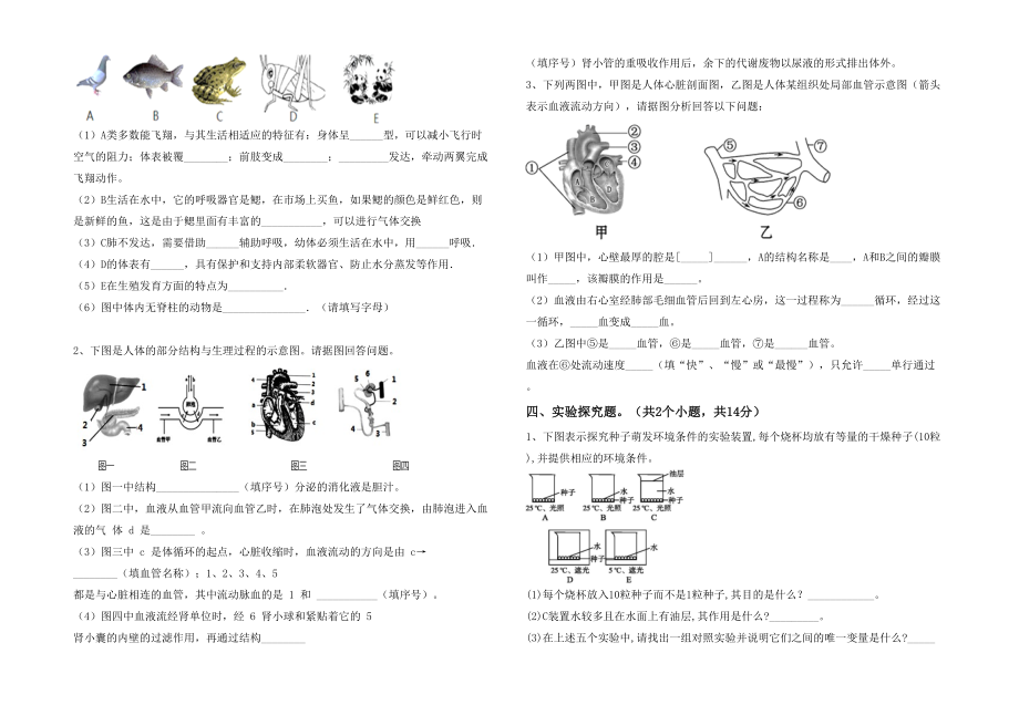 七年级生物下册期末考试(完整版).doc_第3页