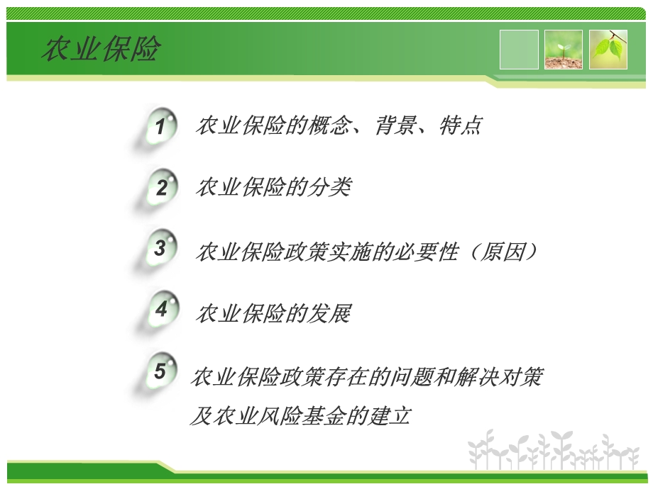 农业保险讲解汇总.ppt_第2页