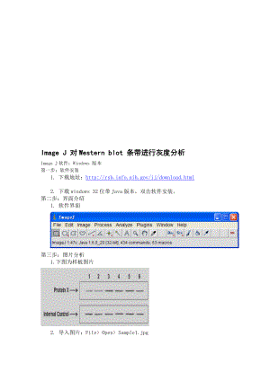 ImageJ对WesternBlot进行灰度分析.doc