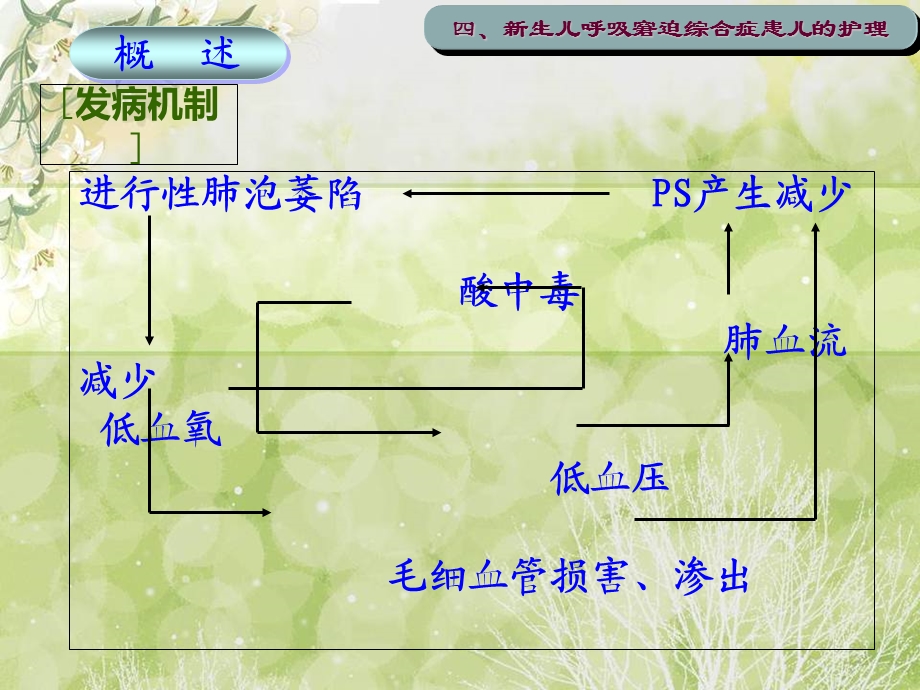 新生儿呼吸窘迫综合症的护理.ppt_第3页