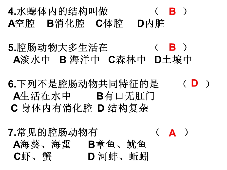 无脊椎动物复习.ppt_第2页