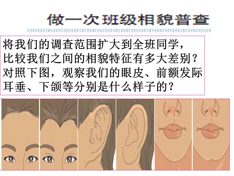 教科版科学六年级上册《相貌各异的我们》PPT.ppt_第3页