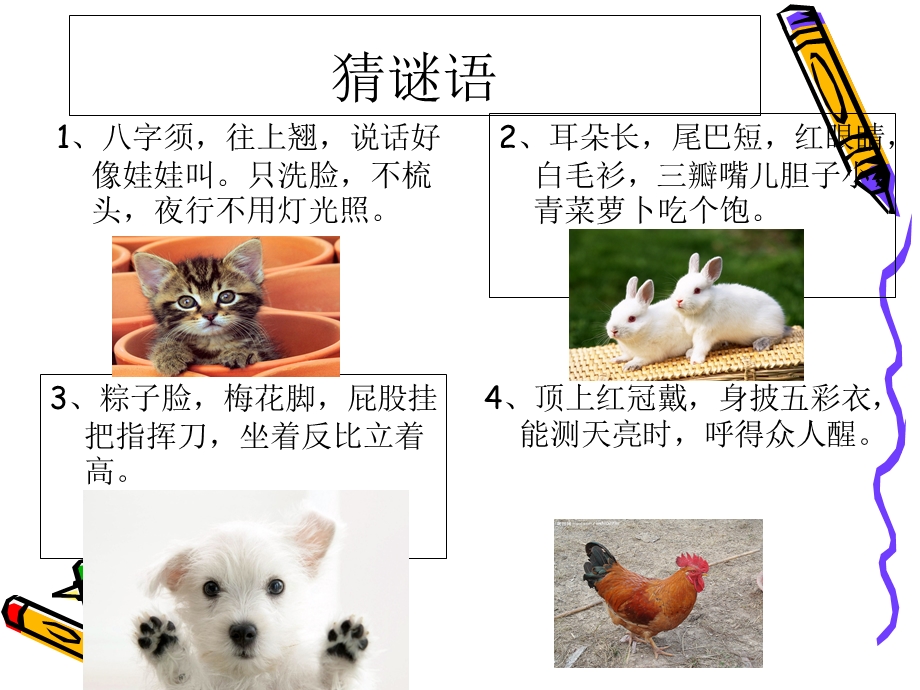 小学四年级作文我喜欢的小动物.ppt_第1页