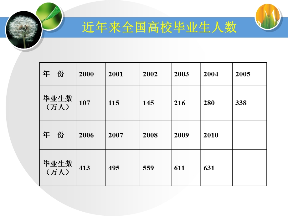 劳动法规与就业权益维护.ppt_第3页