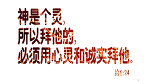 几种不同的侍奉者.ppt