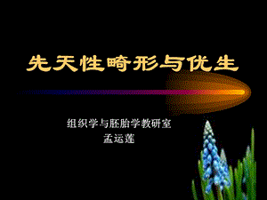 先天性畸形与优生.ppt