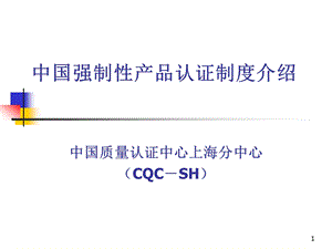 CCC中国强制性产品认证制度介绍PPT44.ppt