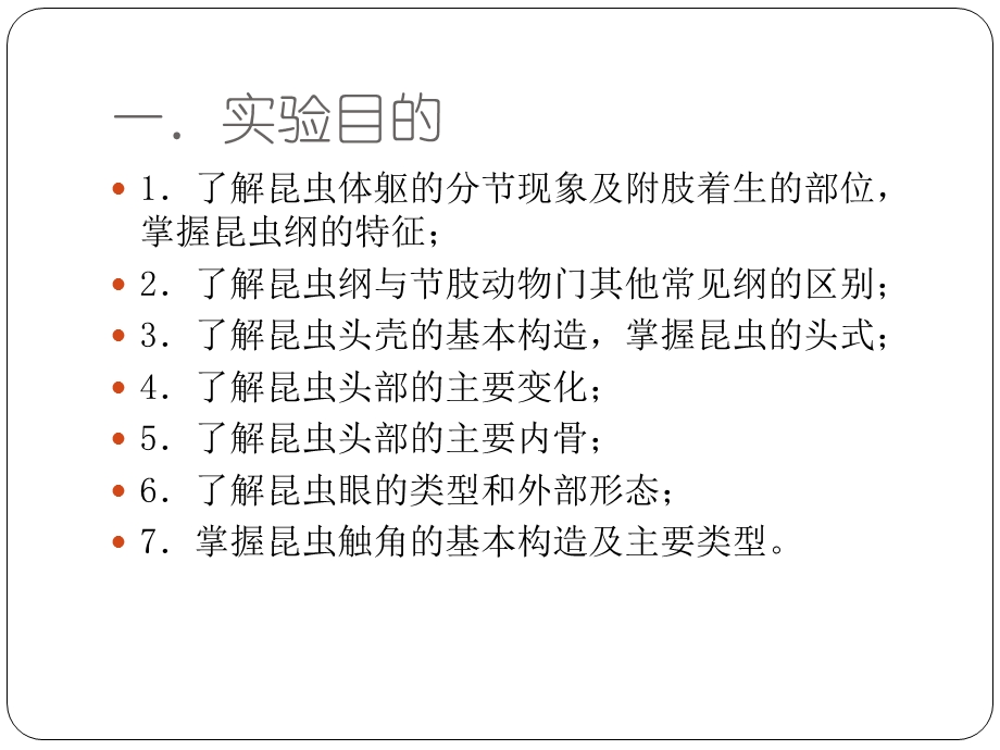 普通昆虫学实验.ppt_第2页