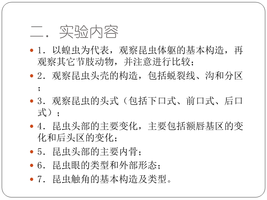 普通昆虫学实验.ppt_第3页