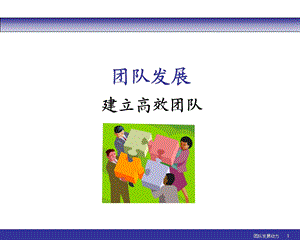 团队发展动力讲义.ppt