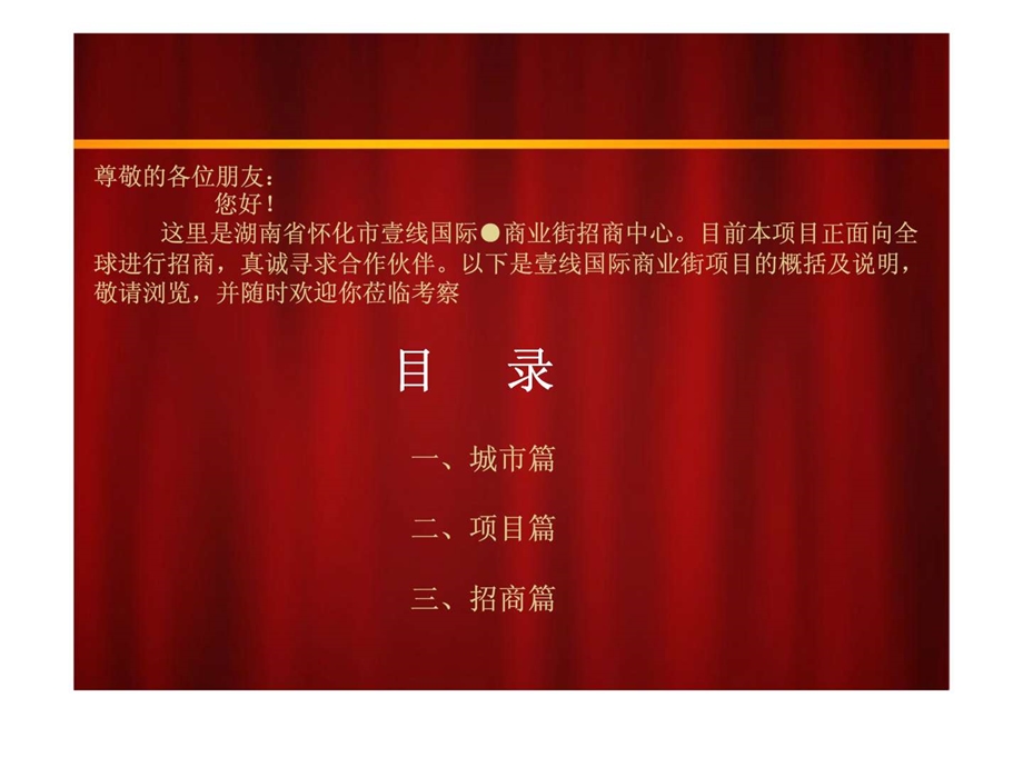 湖南壹线国际商业街项目招商手册营销推广方案.ppt_第2页