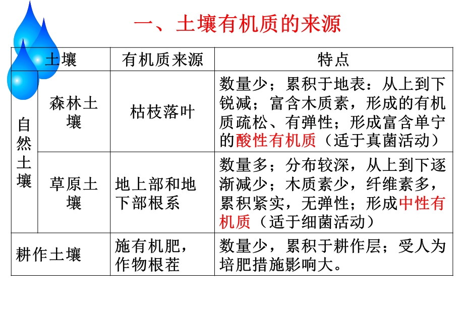 土壤有机质和生物.ppt_第3页