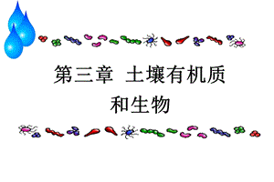 土壤有机质和生物.ppt