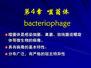 噬菌体遗传与变异.ppt