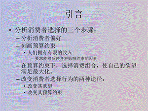 偏好、效用、消费者基本问题及其扩展.ppt