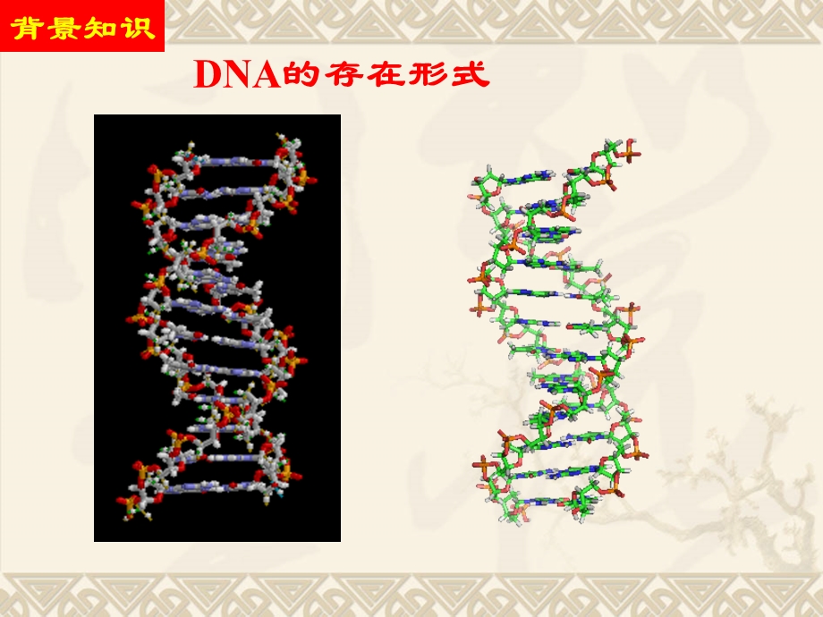 实验四动物血液基因组DNA的提取.ppt_第3页