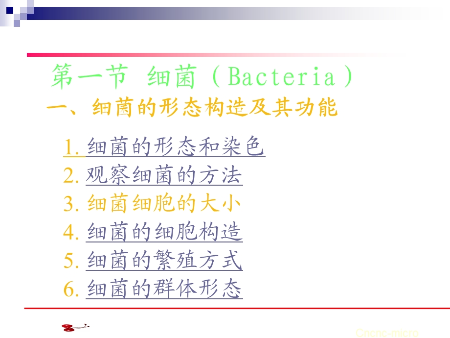 原核微生物形态结构.ppt_第2页