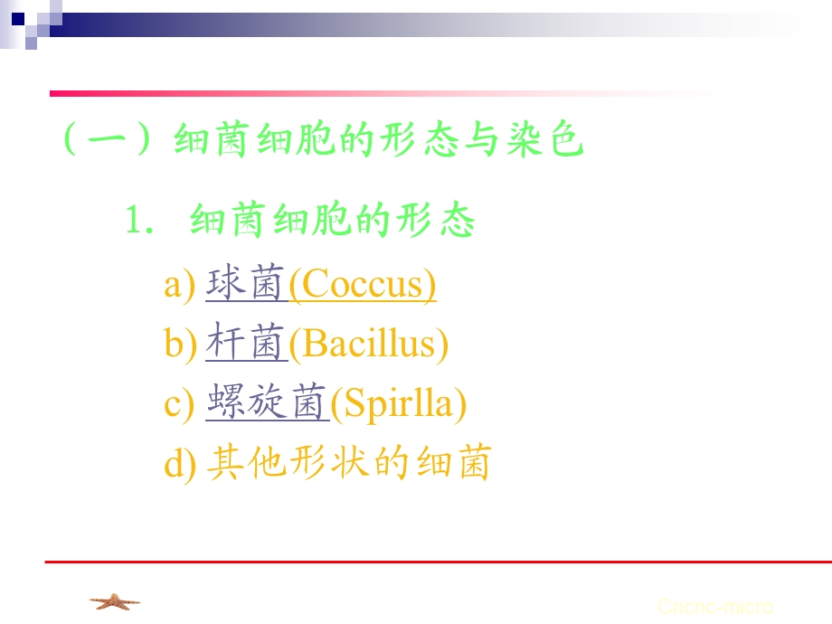 原核微生物形态结构.ppt_第3页