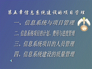 信息系统建设的项目管理.ppt