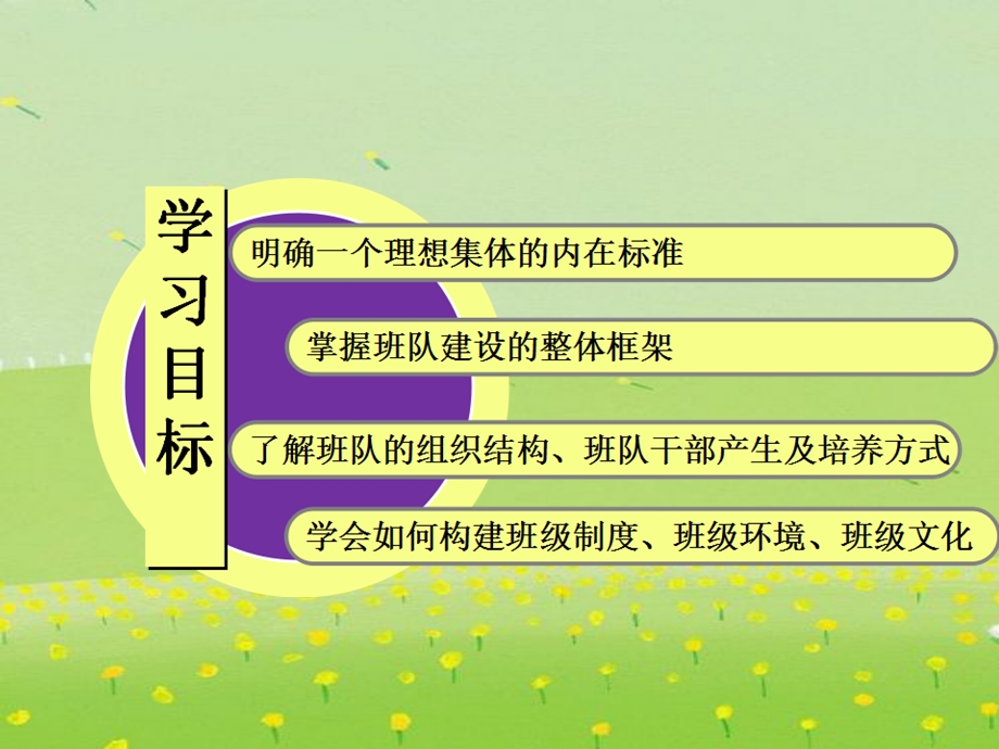 小学班队工作：原理与实践全套课件(下).ppt_第2页