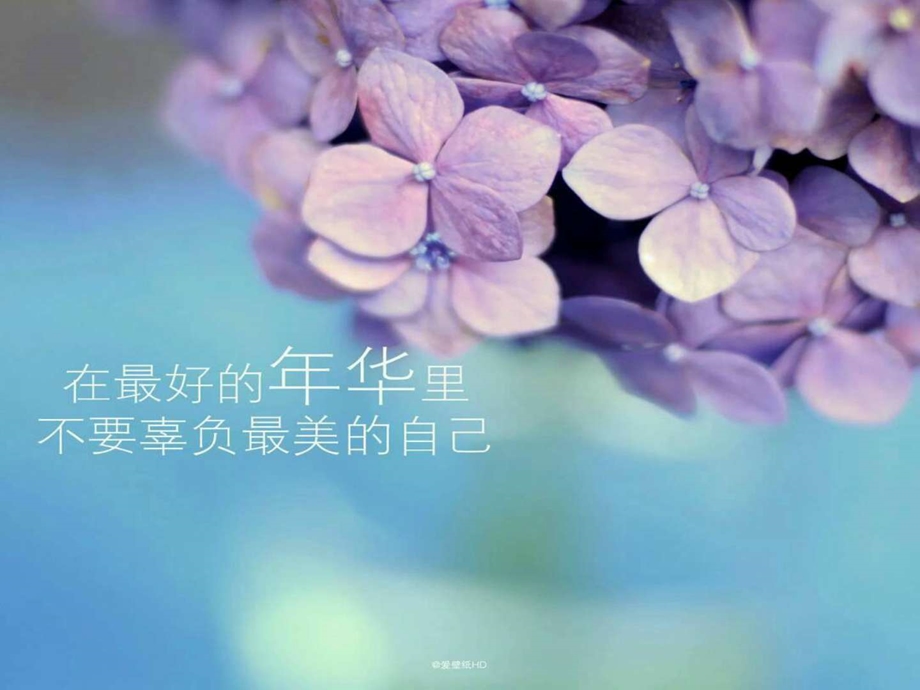 腹有诗书气自华优美语句积累.ppt.ppt_第3页