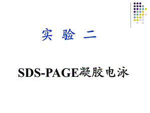 实验二SDSPAGE凝胶电泳.ppt