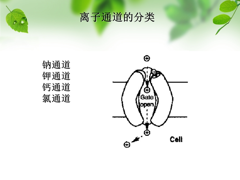 钙通道阻滞剂.ppt_第3页