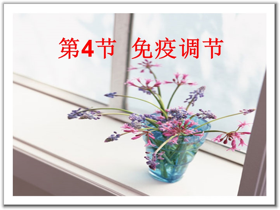 免疫调节(PPT).ppt_第1页