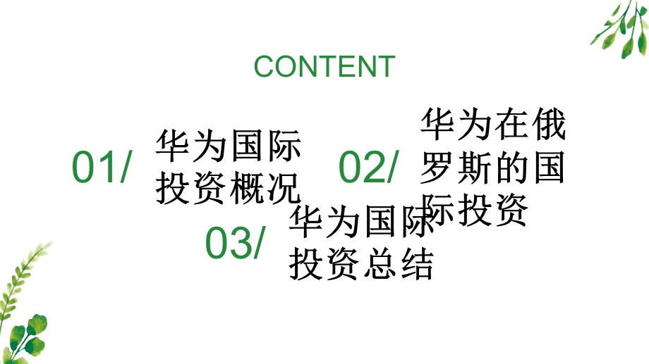 华为对外投资案例.ppt_第2页