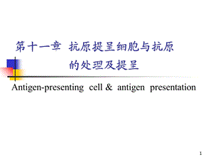 抗原提呈细胞与抗原的处理及提呈.ppt