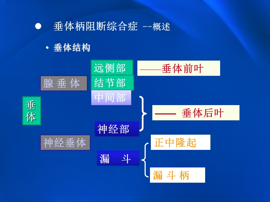 垂体柄阻断综合症.ppt_第2页