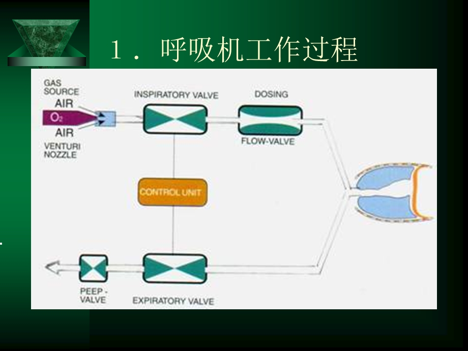 呼吸机波形基础知.ppt_第3页