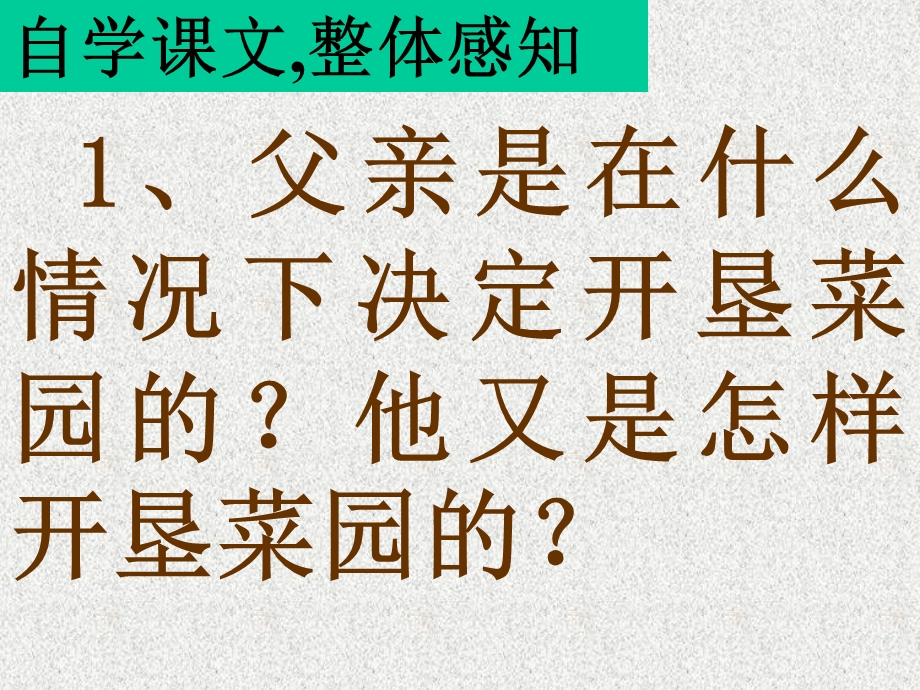 四年级语文下册《父亲的菜园》PPT课件.ppt_第3页