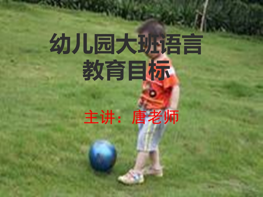 幼儿园大班语言教育目标.ppt_第1页