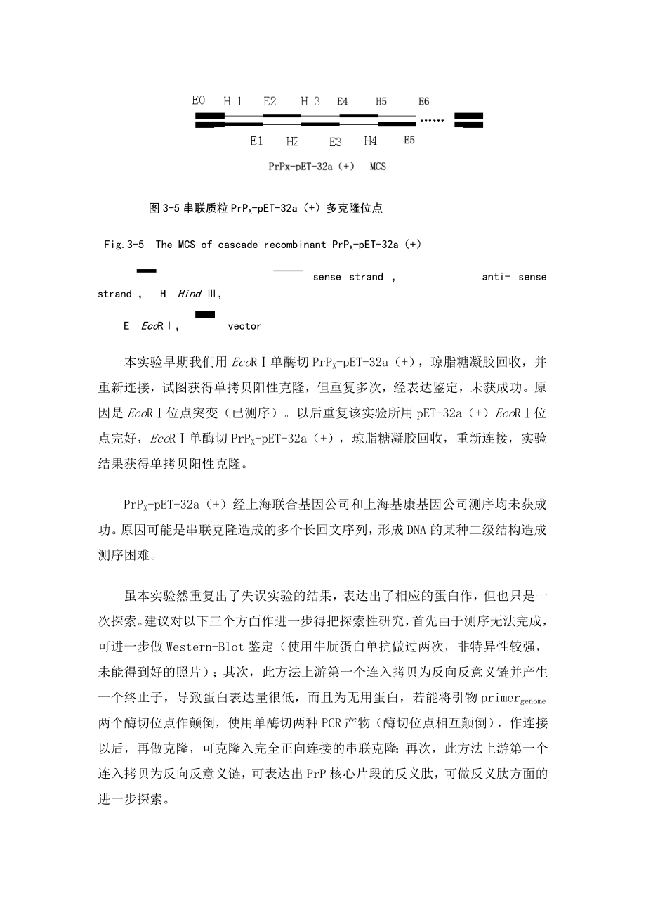 蛋白表达重组质粒构建是否遇到过如下问题.doc_第2页