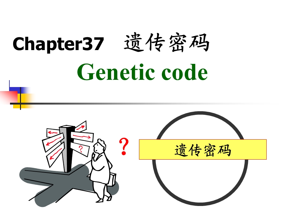 第37章遗传密码.ppt_第2页