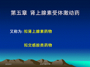 西医药理学第5章肾上腺素受体激动药.ppt