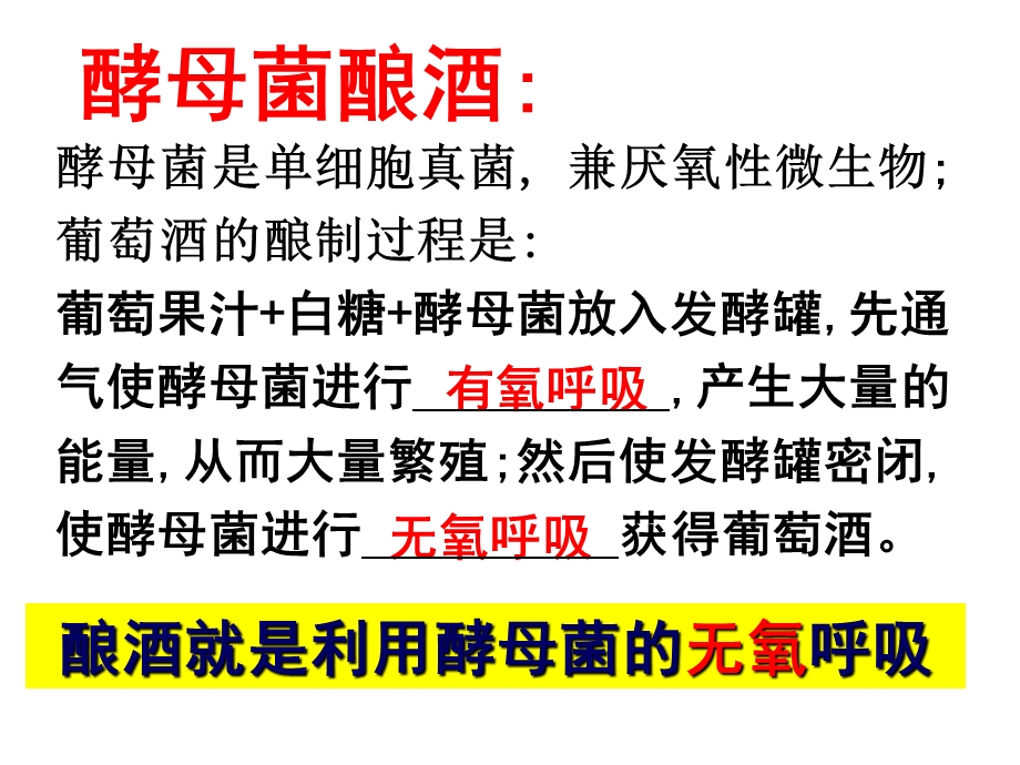 复习课54代谢与平衡(4-6)需修改.ppt_第3页