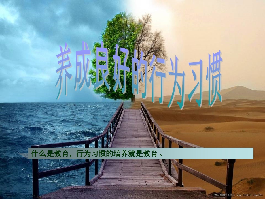 养成良好的行为习惯-PPT课件.ppt_第1页