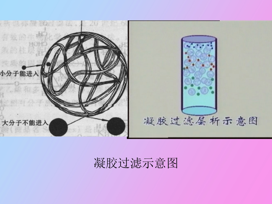 凝胶过滤及离子交换层析介质.ppt_第3页