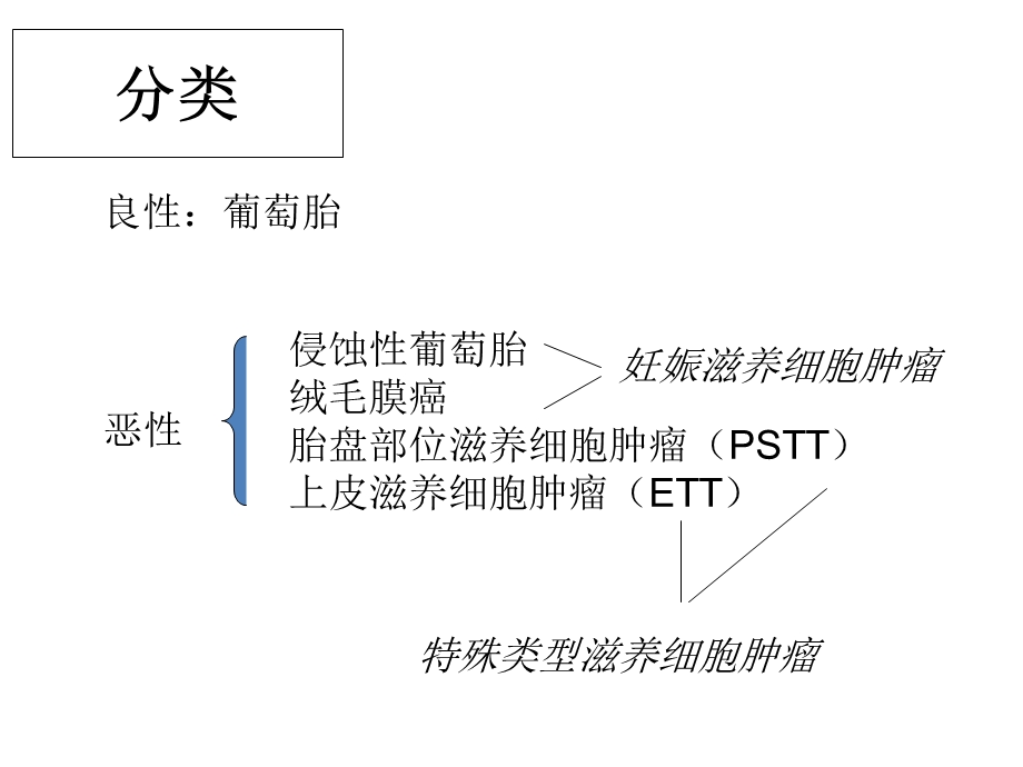 妊娠滋养细胞肿瘤.ppt_第3页