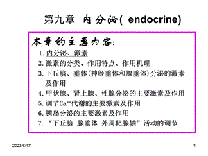 内分泌(endocrine)讲课用.ppt