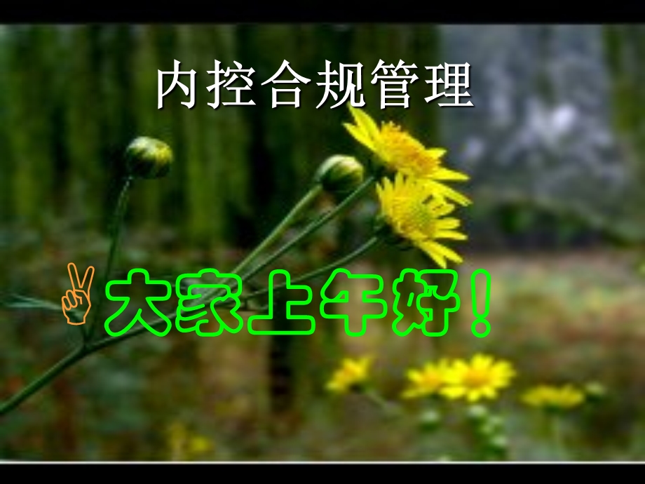 内控合规管理精要.ppt_第1页