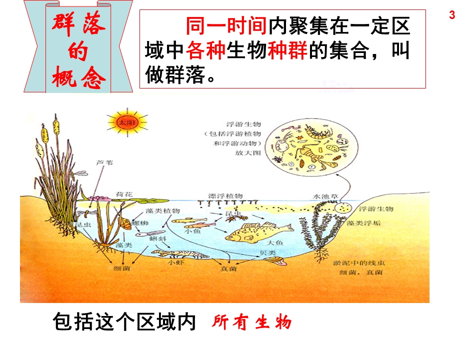 群落的结构(1).ppt_第3页