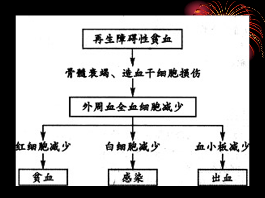 再生障碍性贫血病人护理常规ppt课件.ppt_第3页